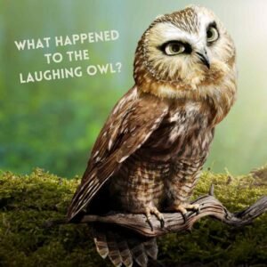 An illustration of an extinct Laughing Owl