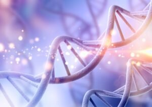 Spirals in our bodies as DNA